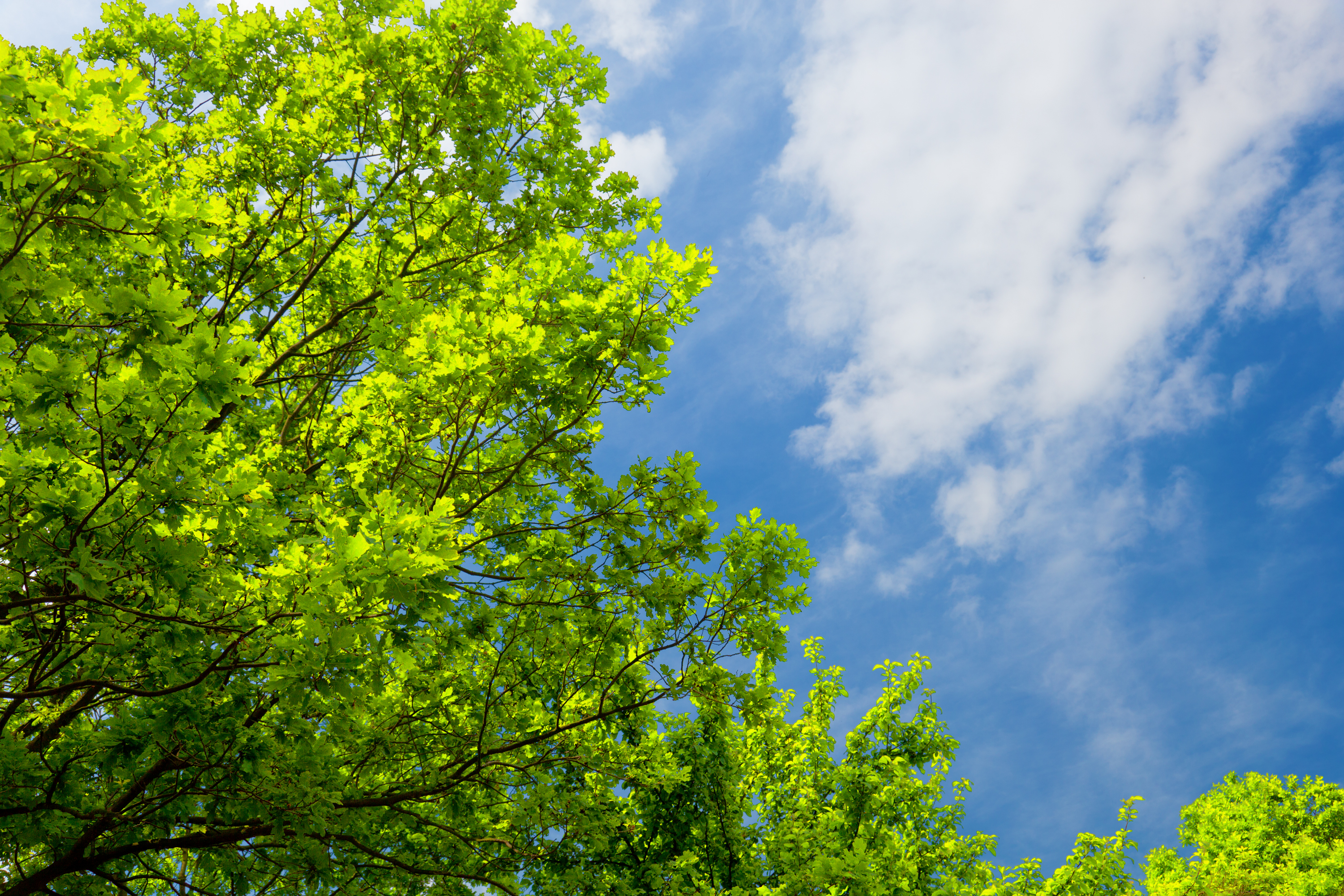 Blog Header